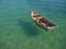 Row boat floating on the water