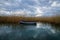 Row boat moored in a reed field