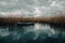 Row boat moored in a reed field