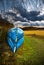 Row boats portrait