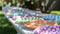 A row of brightly patterned paper plates and napkins adding a fun and festive touch to the backyard picnic setup