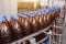 Row of brown beer plastic bottles on beer filling conveyor line