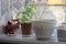 A row of brown and white flowerpots with ornamental plants on the windowsill