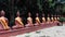 Row of  Buddha statues