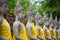 Row of Buddha Status at Wat Yai Chaimongkol