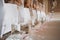 Row of chairs tastefully decorated for wedding