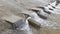 row of chute dentate blocks in concrete water spillway channel slope slowing down the flow of water running down