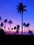 Row of coconut palm trees with beautiful dramatic sky sunset or sunrise over the tropical sea scenery of beautiful nature