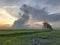 Row of coconut trees On the walk in the rice field at Thai countryside, Beautiful clouds and sunshine With the concept of rural li