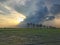 Row of coconut trees On the walk in the rice field at Thai countryside, Beautiful clouds and sunshine With the concept of rural li