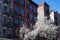 Row of Colorful Old Brick Buildings in SoHo of New York City during Spring with a White Flowering Tree