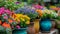 A row of colorful pots filled with flowers on a wooden shelf, AI