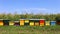 Row of colorful wooden beehives