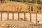 Row of columns of Oval square forum, Jerash, Jordan