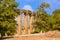 Row of columns of Oval square forum, Jerash, Jordan