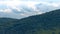 Row of coniferous trees on crest of hill. Green forest on slope of mountain