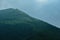 Row of coniferous trees on crest of hill. Green forest on slope of mountain