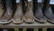 Row of cowboy boots on shelf.