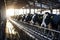 Row of cows being milked. Generative AI