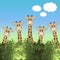 A row of cute cartoon giraffes behind a hedge