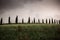 row of cypress trees at sunset - iconic tuscan landscape