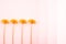 Row of dandelions on a pink pastel background. Minimal idea concept.