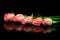 Row of delicate tropical pink roses on dark reflective surface