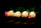 A row of delicate yellow and pink color roses on dark reflective surface