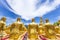 Row of disciple statues surrounding big buddha statue in public to the general public worship worship, Thailand