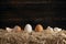Row of eggs on hay bale