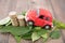 A row of euro coins surrounded by fresh green leaves and cars climbing on them