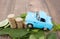 A row of euro coins surrounded by fresh green leaves and cars climbing on them