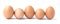 Row of five brown chicken eggs.