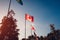 A row of flying flags of nations on sunset sky background. Flags of different countries. Union of nations. Canadian flag