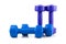 Row of four color dumbbell