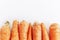 A row of fresh washed carrots on a white background. Space for text. Healthy lifestyle and vegetarianism. Top view