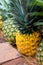 Row of freshly picked pineapple fruits, sweet MG3 variety.