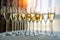 A row of glasses filled with cold champagne lined up, ready to be served. Glasses with Martini on the table - party background