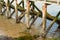 Row of gnarly old wooden supports for an old jetty