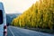 A Row Of Golden Poplars Beside A Highway In New Zealand