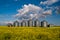 Row of grain bins in a yellow field