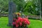 Row of gravestones with pink flowers