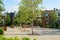 Row of green trees growing in the yard with playground surrounded by houses