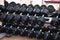 Row of Hand Barbells weight training equipment