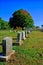 Row of headstones by Tree