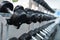 Row of heavy iron dumbbells on a rack at gym