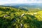 row of huge rocks on a grassy hill. lovely summer scenery of Carpathian mountains