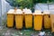 Row of large yellow wheelie bin