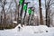 Row of Lime-S electric scooters, from Lime company, buried in snow after a blizzard, during a mild Winter in Romania