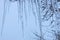 A row of long icicles against the sky and gray branches